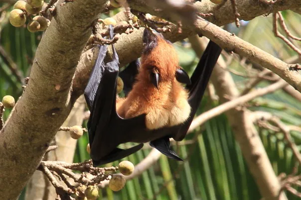 2014 BATS Dr.ATP Ecofriendlycoffee SLIDE-   (14)