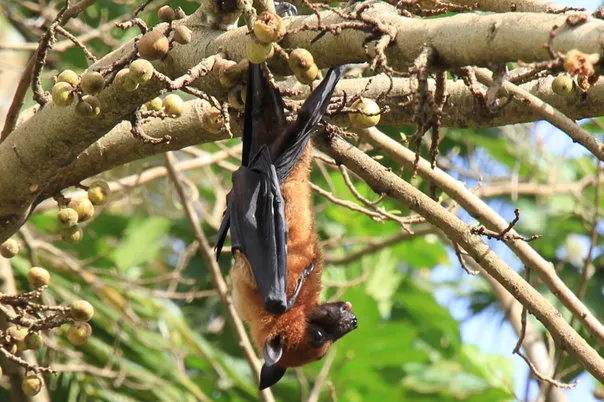 2014 BATS Dr.ATP Ecofriendlycoffee SLIDE-   (15)