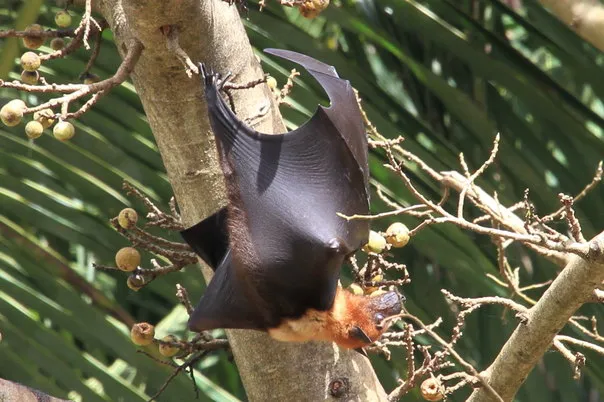 2014 BATS Dr.ATP Ecofriendlycoffee SLIDE-   (19)