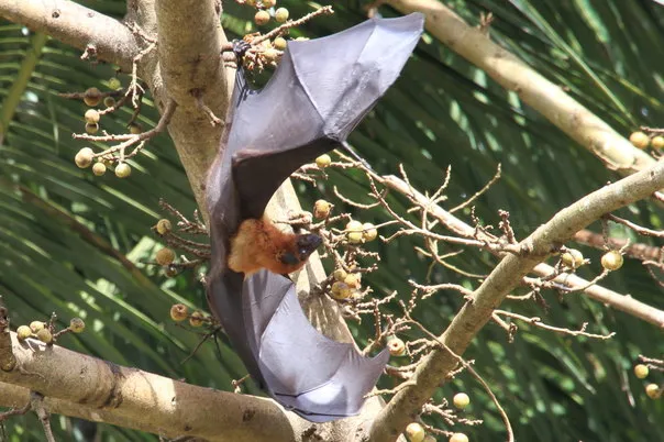2014 BATS Dr.ATP Ecofriendlycoffee SLIDE-   (22)
