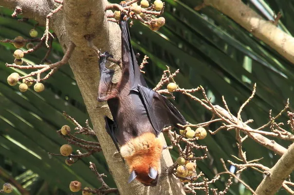 2014 BATS Dr.ATP Ecofriendlycoffee SLIDE-   (24)