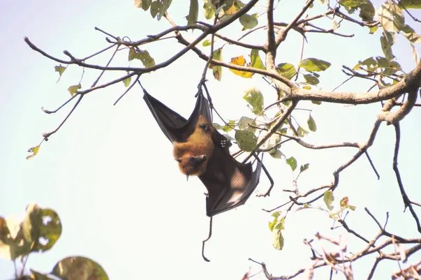 2014 BATS Dr.ATP Ecofriendlycoffee SLIDE-   (25)