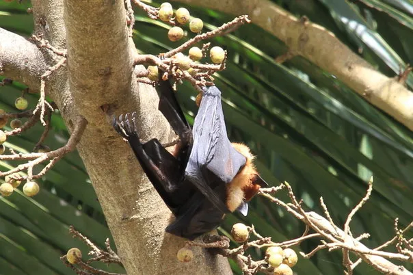 2014 BATS Dr.ATP Ecofriendlycoffee SLIDE-   (26)