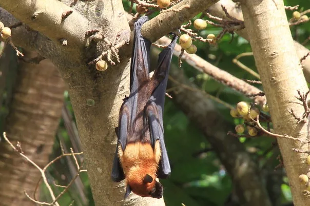 2014 BATS Dr.ATP Ecofriendlycoffee SLIDE-   (27)