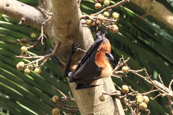 2014 BATS Dr.ATP Ecofriendlycoffee SLIDE-   (28)