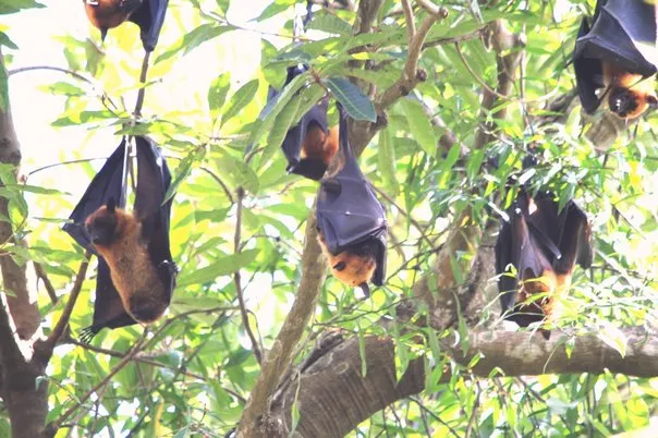 2014 BATS Dr.ATP Ecofriendlycoffee SLIDE-   (30)