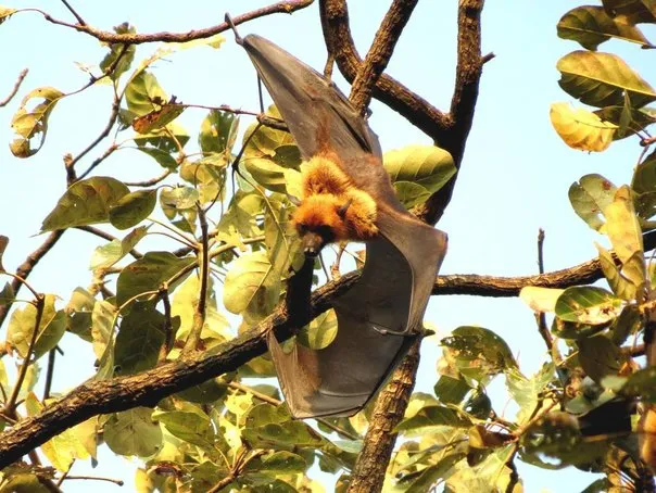 2014 BATS Dr.ATP Ecofriendlycoffee SLIDE-   (31)