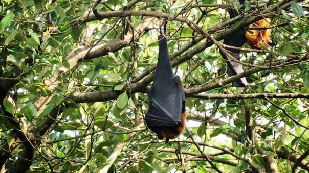 2014 BATS Dr.ATP Ecofriendlycoffee SLIDE-   (36)