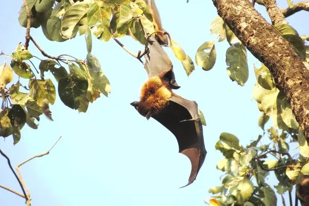 2014 BATS Dr.ATP Ecofriendlycoffee SLIDE-   (37)