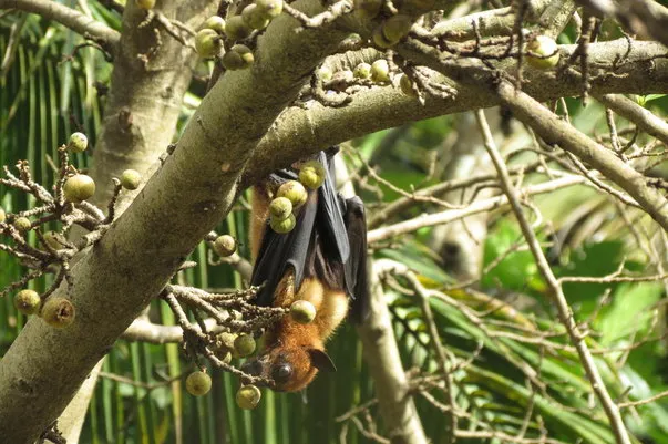 2014 BATS Dr.ATP Ecofriendlycoffee SLIDE-   (38)