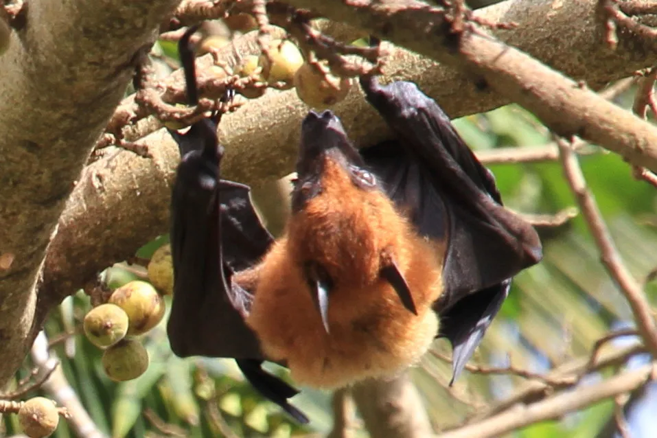 2014 BATS Dr.ATP Ecofriendlycoffee SLIDE-   (39)