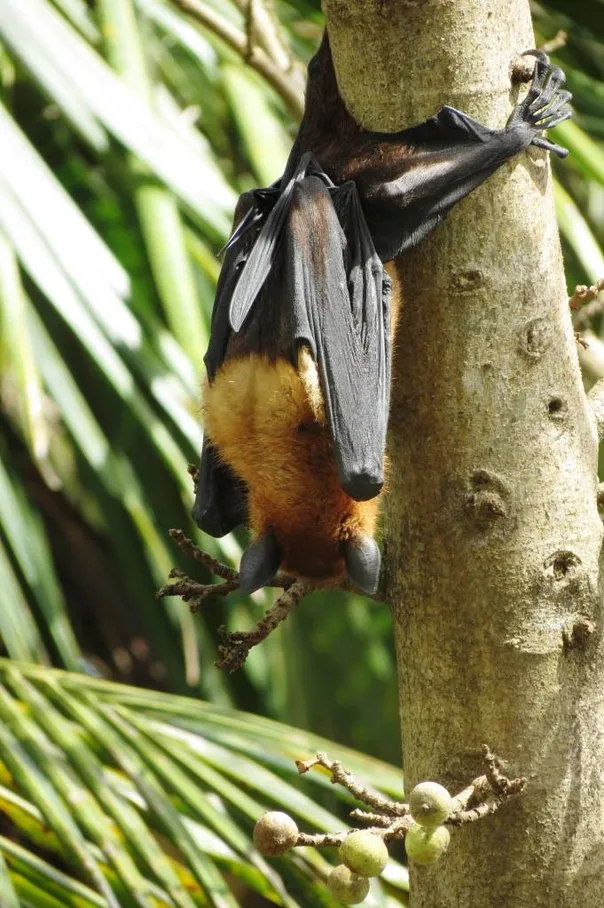 2014 BATS Dr.ATP Ecofriendlycoffee SLIDE-   (41)