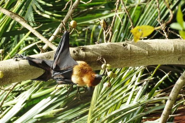 2014 BATS Dr.ATP Ecofriendlycoffee SLIDE-   (42)