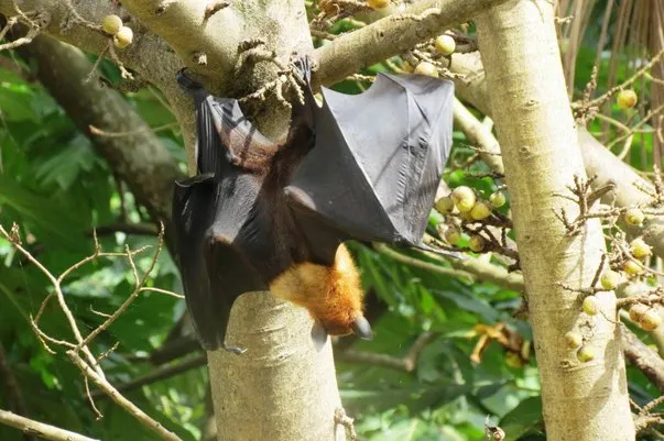 2014 BATS Dr.ATP Ecofriendlycoffee SLIDE-   (45)