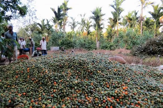 2016-areca-slide-3-ecoorg