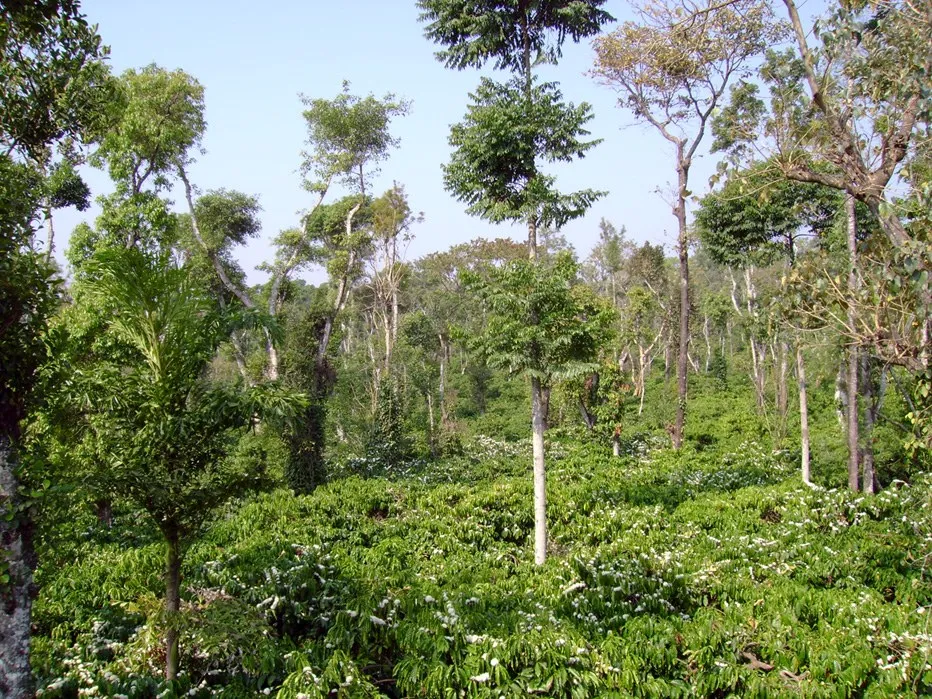 24impact-of-climatechange_3397751538_o