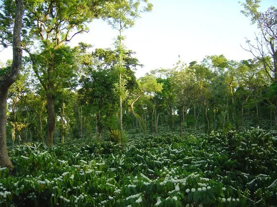 5impact-of-climatechange_3396941169_o