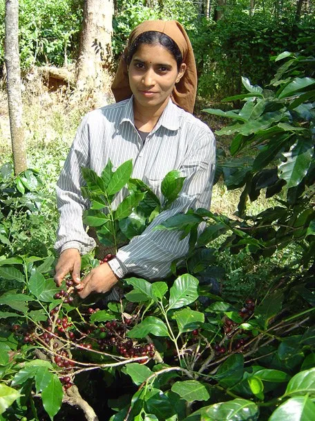7impact-of-climatechange_3397751228_o