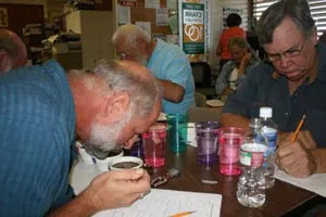 Cupping2