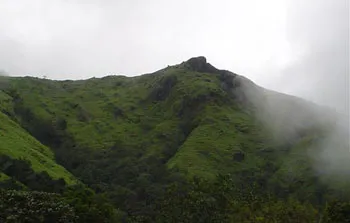 DSC00648
