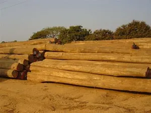 DSC04855