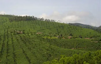 DSC08742