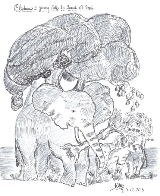 Elephants-In-Search-Of-Food650