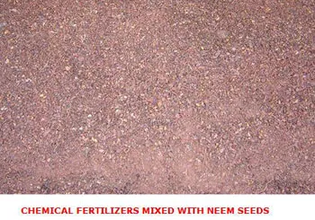 FERTNEEM2005SLIDE-2