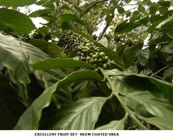 FERTNEEM2005SLIDE-7