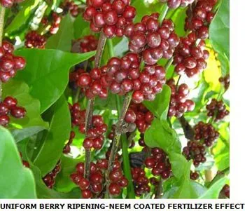 FERTNEEM2005SLIDE-9
