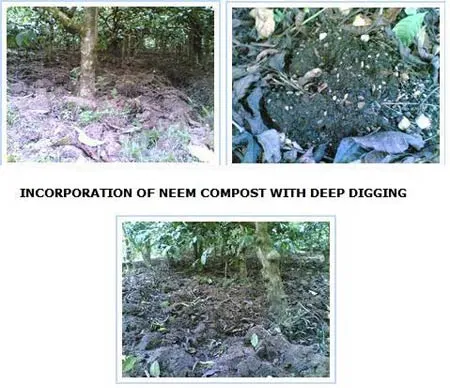 NEEM2005SLIDE-8