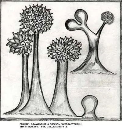 SLIDE12