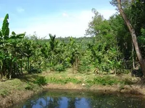 SLIDE2