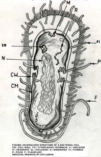 SLIDE4