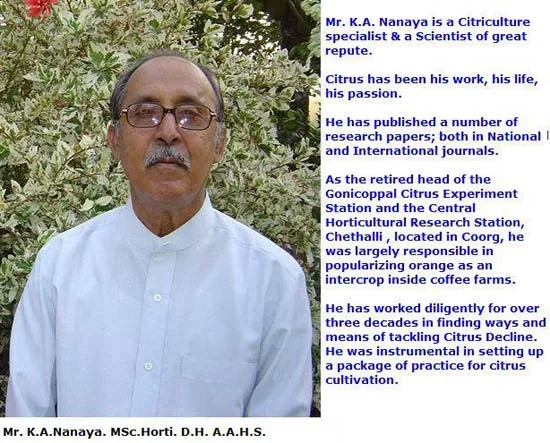 citrus2006slide-9