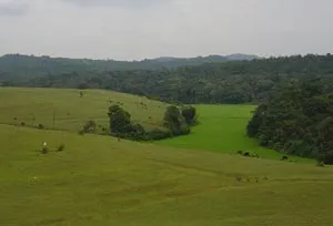 d300
