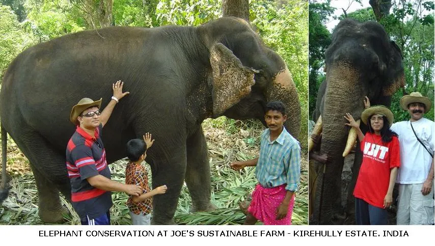 elephant-conservation-india_2625131098_o