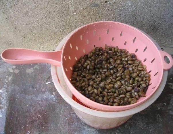 filter-civit-coffee