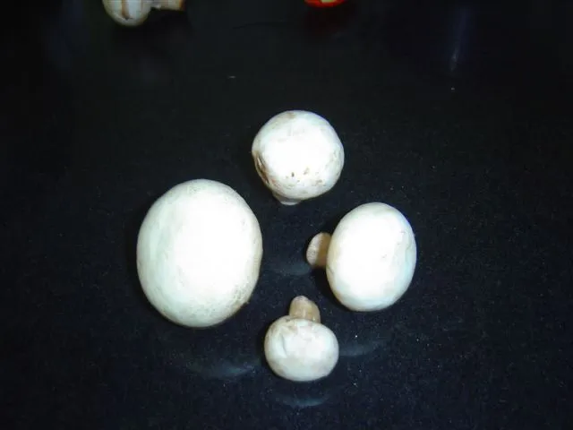 mushroom-36_2889710359_o