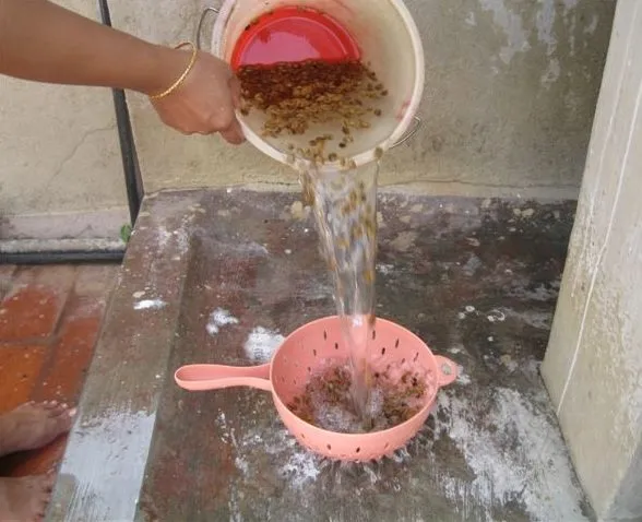 pour-rinse-civit