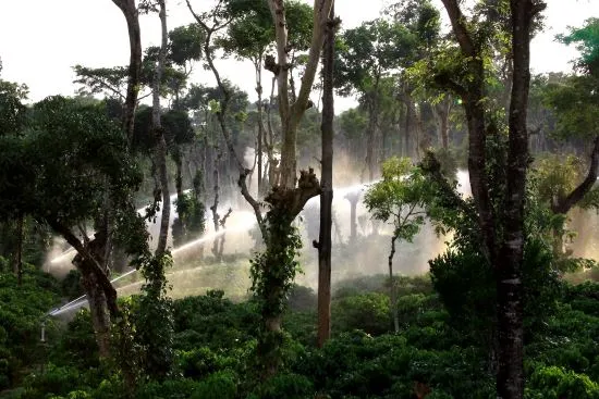 sprinkler-09