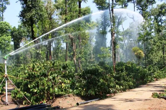 sprinkler-10