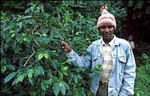tanzania-coffee-farmer