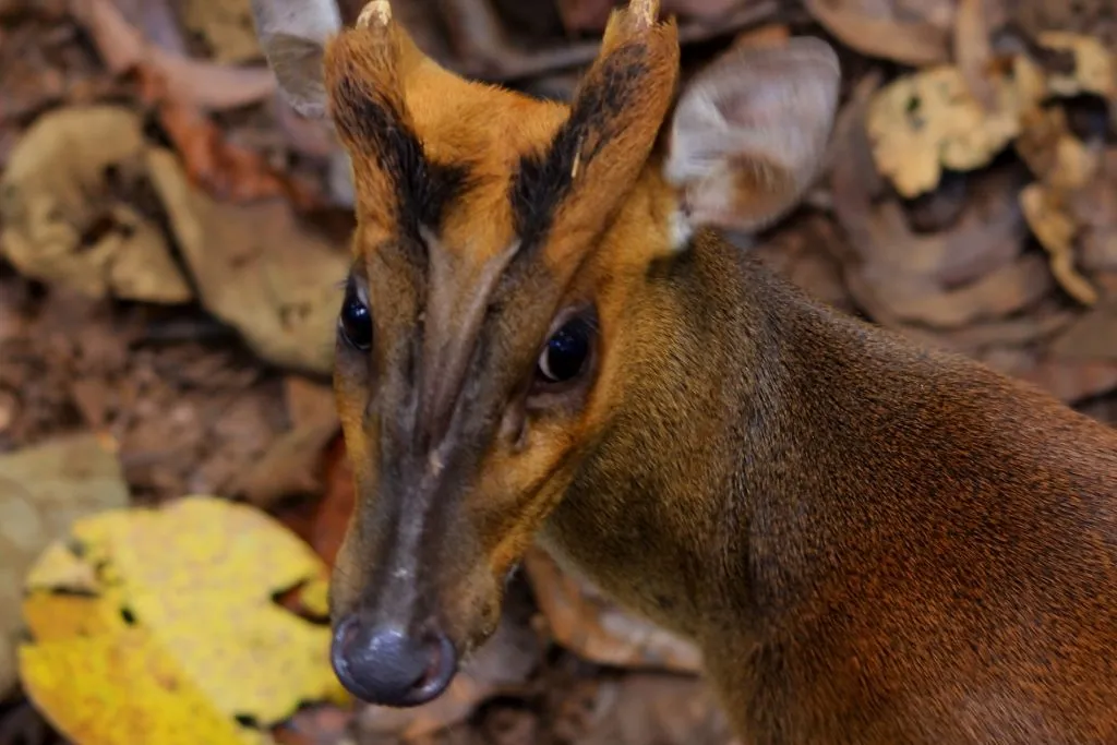 wildlife-20_6127326281_o