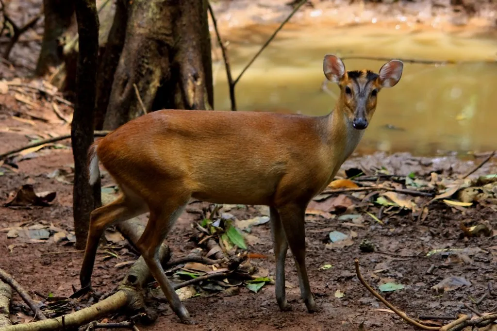 wildlife-21_6127325983_o